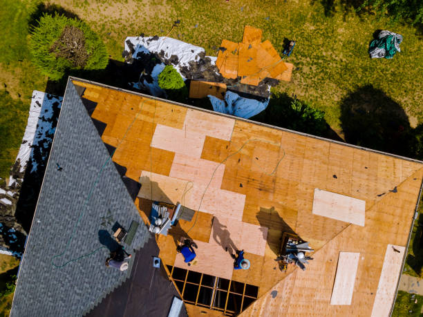 Best Storm Damage Roof Repair  in Southside, AR