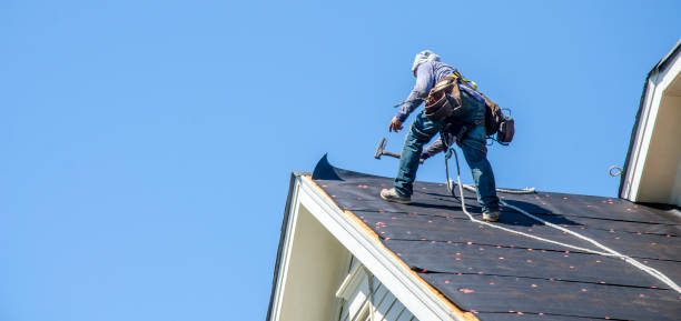 Best Roof Gutter Cleaning  in Southside, AR